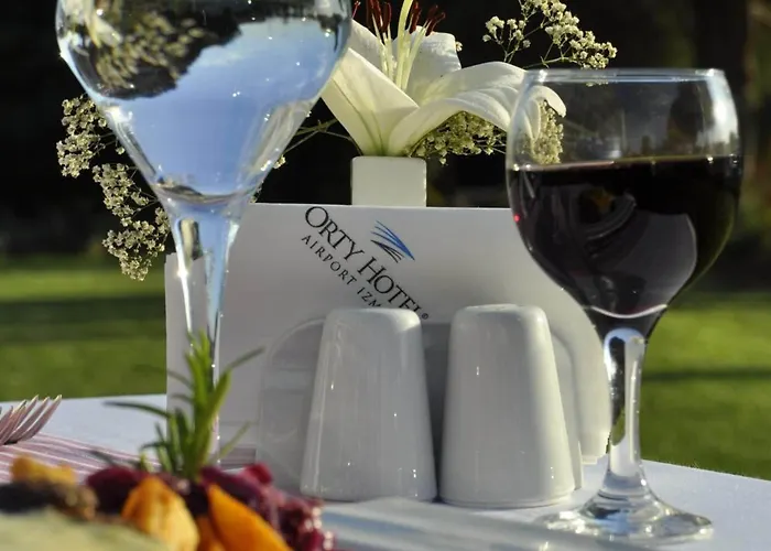 Orty Airport 4* איזמיר